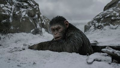 How to Watch All of the ‘Planet of the Apes’ Movies in Order Online