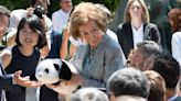 La Reina Sofía da la bienvenida a los dos pandas del Zoo de Madrid después de su cuarentena