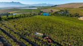 Explore The Riches Of Jordan Wine Estate In Stellenbosch, South Africa