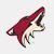 Arizona Coyotes