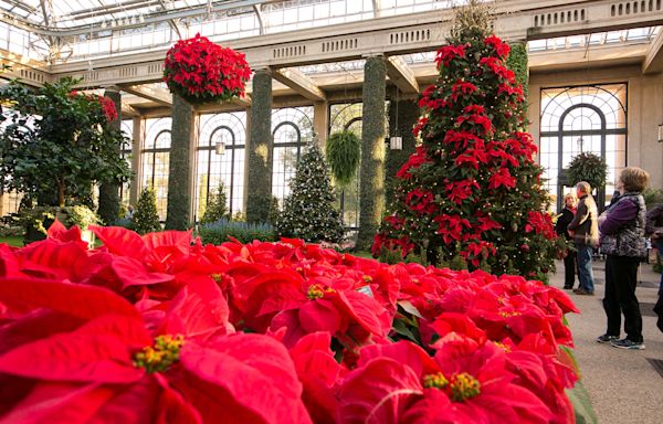 Longwood Gardens tease tickets to famous Christmas show. Here's what to know