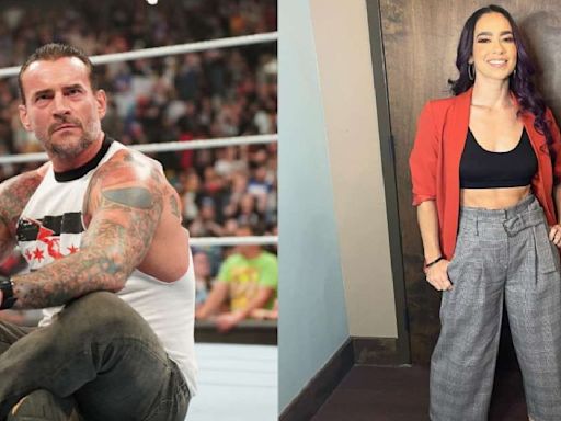 CM Punk Reacts To Wife AJ Lee's Potential WWE Return; Find Out What He Said