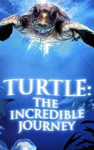 Turtle: The Incredible Journey