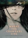 Where the Crawdads Sing (film)