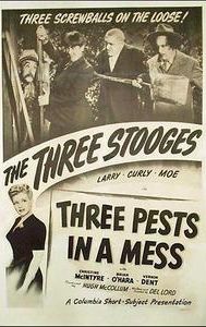 Three Pests in a Mess