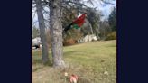 Decapitated baby doll is left under Free Palestine flag in Ohio