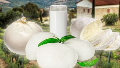 What Makes Fresh Mozzarella Different Than Other Varieties And The Best Ways To Enjoy It