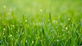 Think before you fertilize: Keeping a green lawn while protecting the community