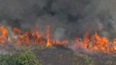 Watch live: Brush fire in Secaucus impacting N.J. Turnpike traffic, NJ Transit service