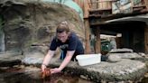 Sea creatures at home at SEA Discovery Center in Poulsbo after pandemic closure