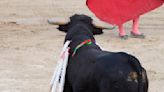 Los menores volverán este año a los toros en Baleares