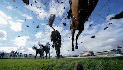 Horseracing's Drive to Survive? It's documentary heaven as two behind-the-scenes shows bid to appeal to all sports fans