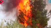 El incendio forestal de Alicante obliga a desalojar 800 personas y cortar dos carreteras cortadas