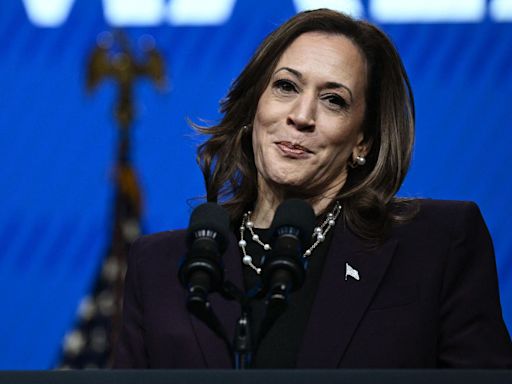 Election 2024 Swing State Polls: Harris Leading Trump In Pennsylvania, Michigan, Wisconsin, Latest Survey Shows