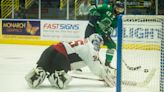 Florida Everblades bringing back two players from their ECHL Kelly Cup championship squad