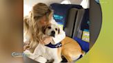 New Airline is Catering to Dogs - WFXB
