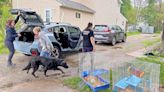 Humane Society gets influx of animals from home where residents had been evicted