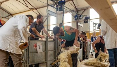 ‘Electric atmosphere’ at Ireland highest pub as shearing competitions makes welcome return