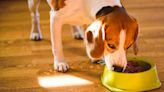 Dog food sold by Walmart recalled as it may contain metal pieces