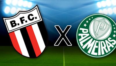 Botafogo x Palmeiras: onde assistir, horário e escalação das equipes