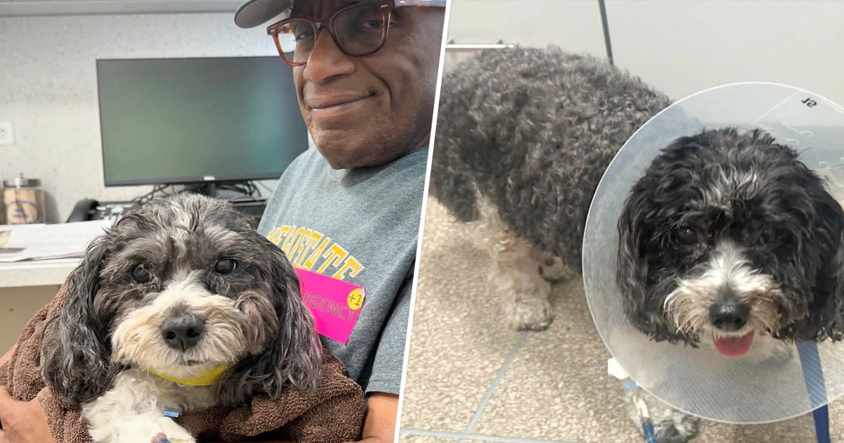 Al Roker reveals his dog Pepper underwent emergency surgery