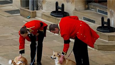 英女王首座紀念雕像亮相 50隻柯基犬到揭幕式同歡 - 國際