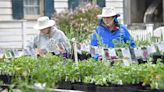 Gardeners flock to Landis Valley Village and Farm Museum for annual Herb and Garden Faire [photos]