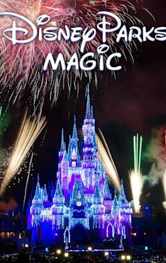 The Disney Parks Magical Christmas Celebration