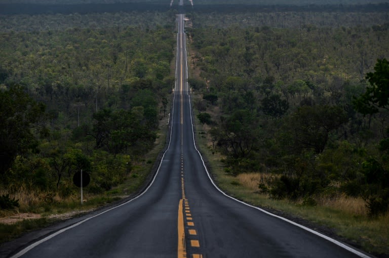 Deforestation in Brazil's Cerrado higher than in Amazon: report