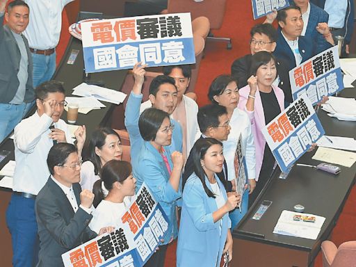 政治干預電價，走回頭路 審議委員：國會審電價 前所未聞 - A5 綜合要聞 - 20240509