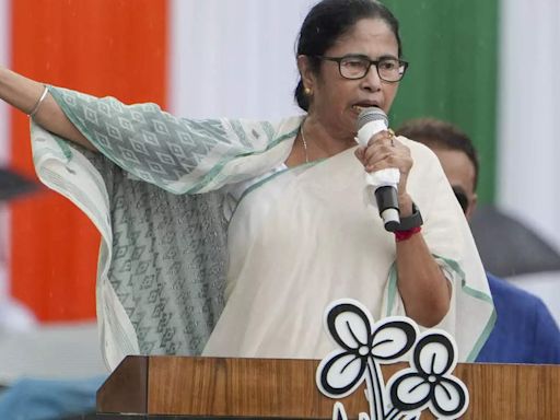 Mamata Banerjee walks out of Niti Aayog meet, says her mic was muted - The Economic Times