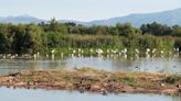 Are wetlands really flood risk? Experts debunk most common myths around these precious ecosystems