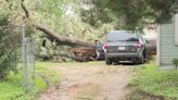 Es una de las cuatro víctimas en Texas: madre de familia murió al salir a mover su vehículo en plena tormenta