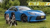 2023 Toyota GR86 Review: Will It Dog?