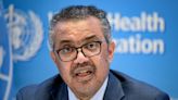 WHO to convene emergency committee on monkeypox: ‘It’s now clear there is an unusual situation’