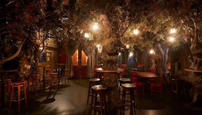 La cafetería de Barcelona que recrea un bosque encantado: tapas, cócteles y vino en un ambiente mágico