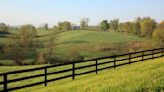 Viral TikToks say Virginia looks like the European countryside