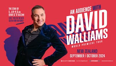 AN AUDIENCE WITH DAVID WALLIAMS