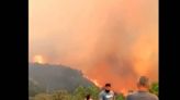 Declaran estado de emergencia en ciudad rusa de Novorossíisk por extenso incendio forestal | El Universal