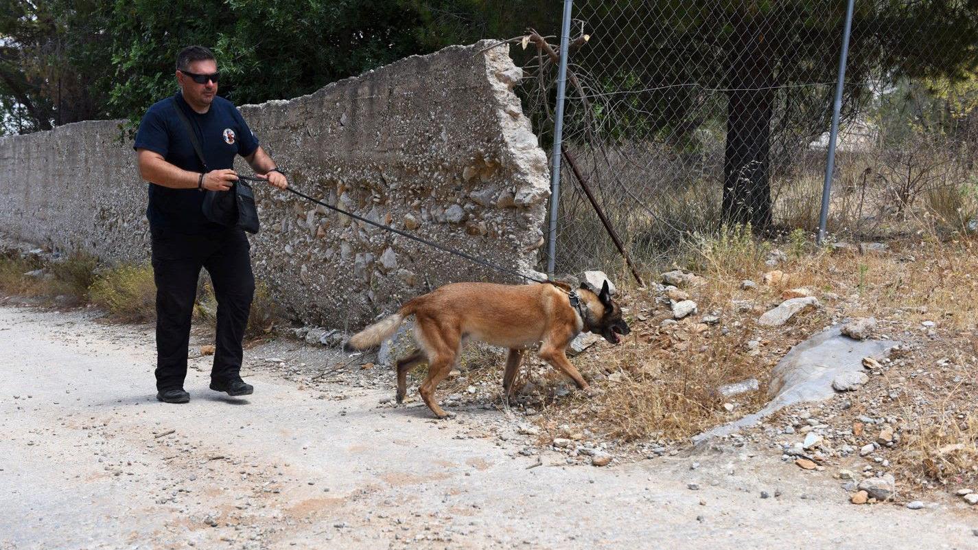 Countess sends protective gear to police dogs in Greece