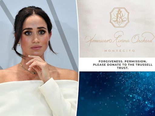 Meghan Markle’s lifestyle brand seemingly hijacked by alleged Princess of Wales fan