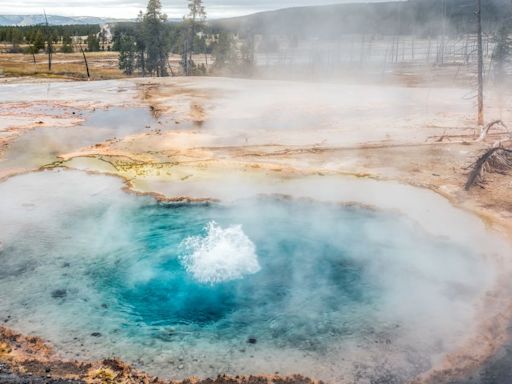Giant Viruses With Ancient Origins Lurk In Yellowstone's Hot Springs