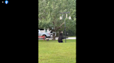 Video shows bear take on bird feeder in Alabama — and people can’t get enough of it