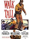 Walk Tall (film)