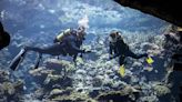 Conservationists embark on underwater 'Noah's Ark' project to preserve coral reefs: 'Making a kind of backup'