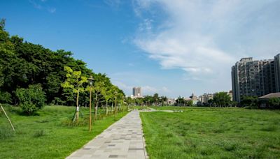 雜草長得快…竹市公園綠地認養率僅4成 議員盼提高誘因