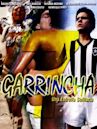 Garrincha - Estrela Solitária