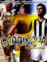 Garrincha: Estrela Solitária