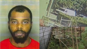 Man facing animal cruelty charges in connection to 3 dead dogs found in abandoned van in Mattapan