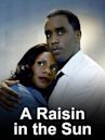 A Raisin in the Sun (2008 film)